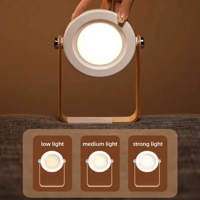 Sc08e9dbfd1ae42d4a0a2f1beec8c25a3V (1)