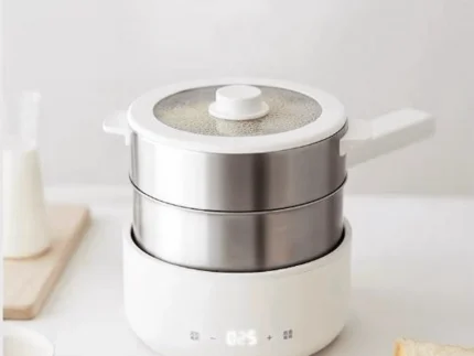 Olayks Electric Stainless Steel Cooker