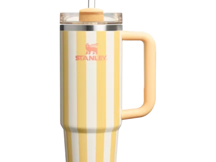 Stanley Quencher H2.0 Flowstate™ Tumbler Limited Edition | 40 OZ