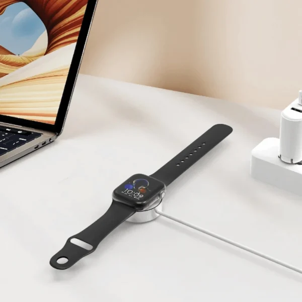 Green Lion Iwatch Charger USB-C